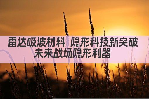 雷达吸波材料 隐形科技新突破 未来战场隐形利器 