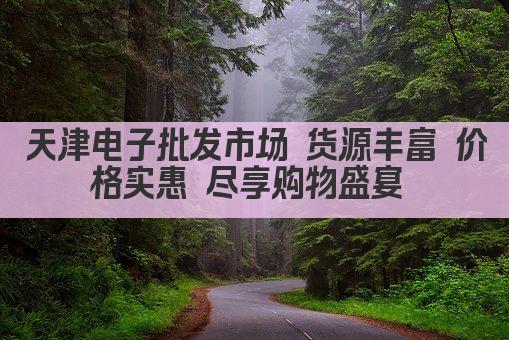 天津电子批发市场 货源丰富 价格实惠 尽享购物盛宴 