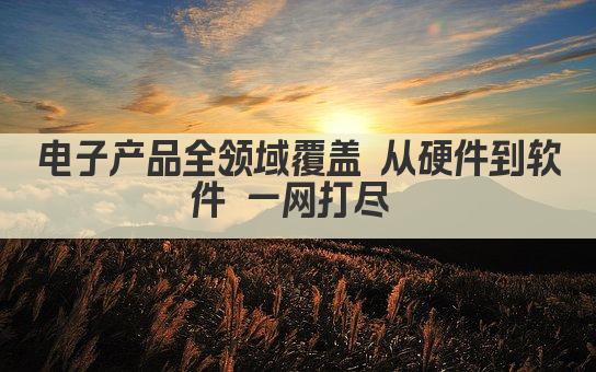 电子产品全领域覆盖 从硬件到软件 一网打尽 