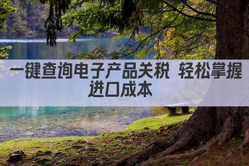 一键查询电子产品关税 轻松掌握进口成本 
