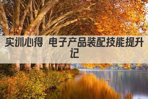 实训心得 电子产品装配技能提升记
