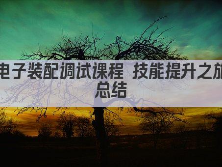 电子装配调试课程 技能提升之旅总结