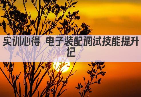 实训心得 电子装配调试技能提升记