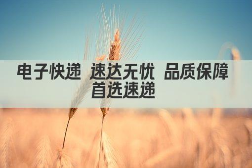 电子快递 速达无忧 品质保障 首选速递 
