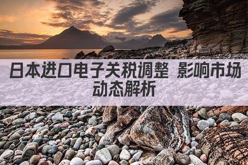 日本进口电子关税调整 影响市场动态解析