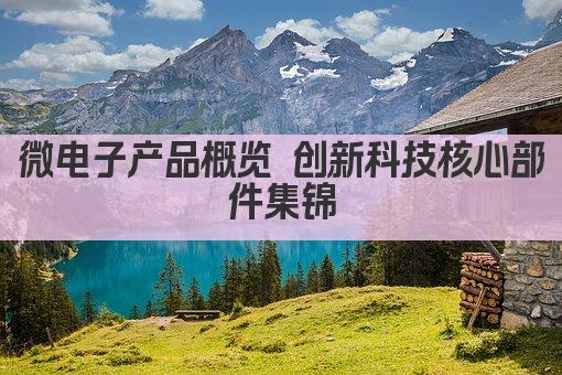 微电子产品概览 创新科技核心部件集锦
