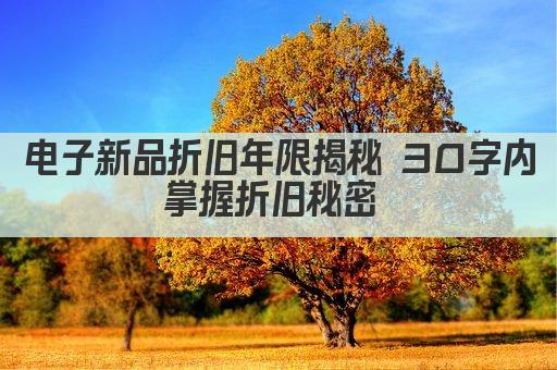 电子新品折旧年限揭秘 30字内掌握折旧秘密 
