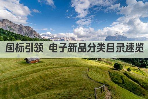 国标引领 电子新品分类目录速览