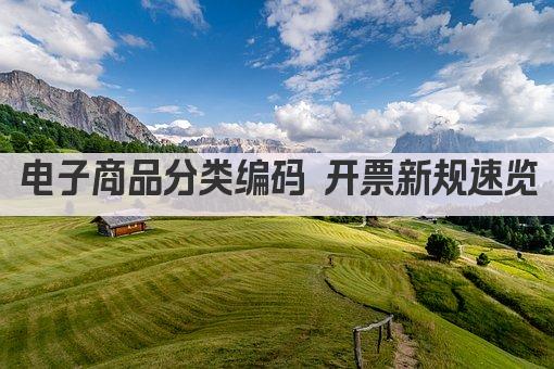 电子商品分类编码 开票新规速览
