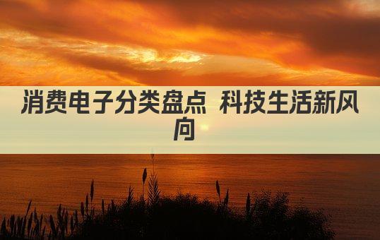 消费电子分类盘点 科技生活新风向 